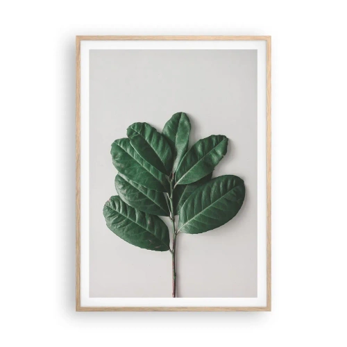 Affiche dans un chêne clair - Poster - Dessin de la nature elle-même - 70x100 cm