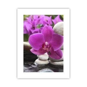 Affiche - Poster - Tu te reposes déjà - 30x40 cm