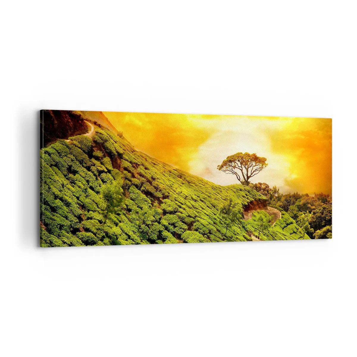 Impression sur toile - Image sur toile - Un chemin sinueux, une pente verte - 100x40 cm