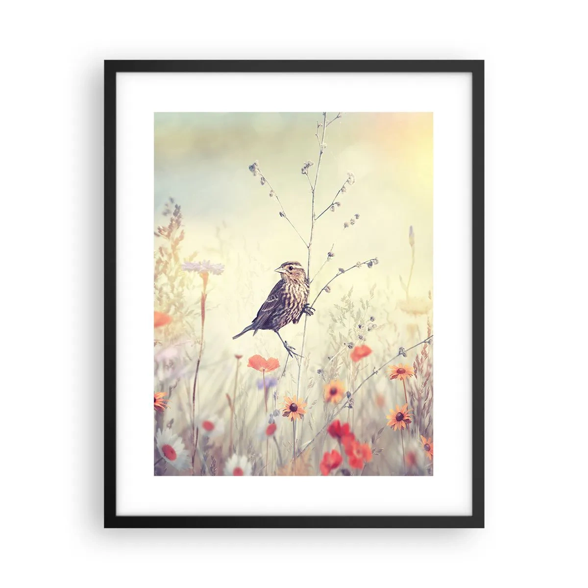 Affiche dans un cadre noir - Poster - Portrait d'oiseau sur pré en fond - 40x50 cm