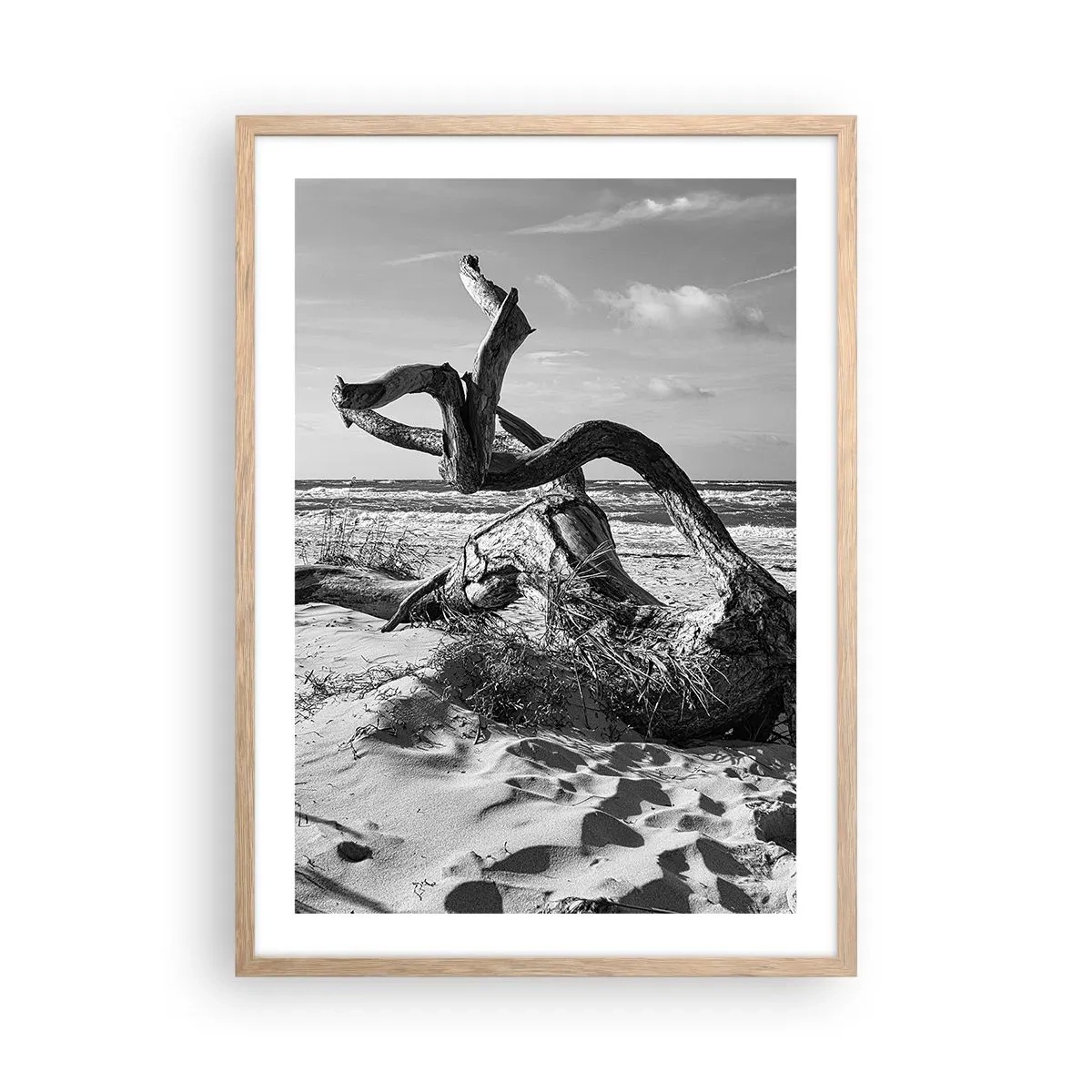 Affiche dans un chêne clair - Poster - Sculpture marine - 50x70 cm