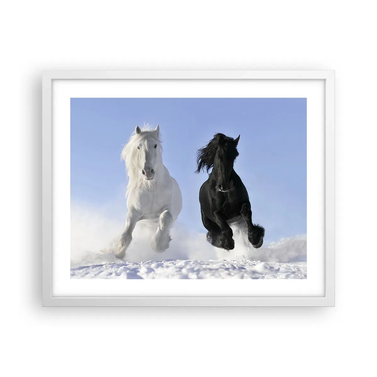 Affiche dans un cadre blanc - Poster - Galop noir et blanc - 50x40 cm