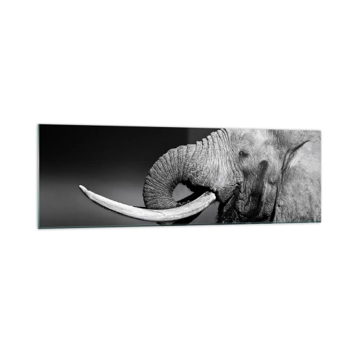 Impression sur verre - Image sur verre - Portrait noir et blanc d'un éléphant de profil - 160x50cm - Oui, c'est bon maintenant - Décoration murale moderne pour le salon et la chambre ARTTOR