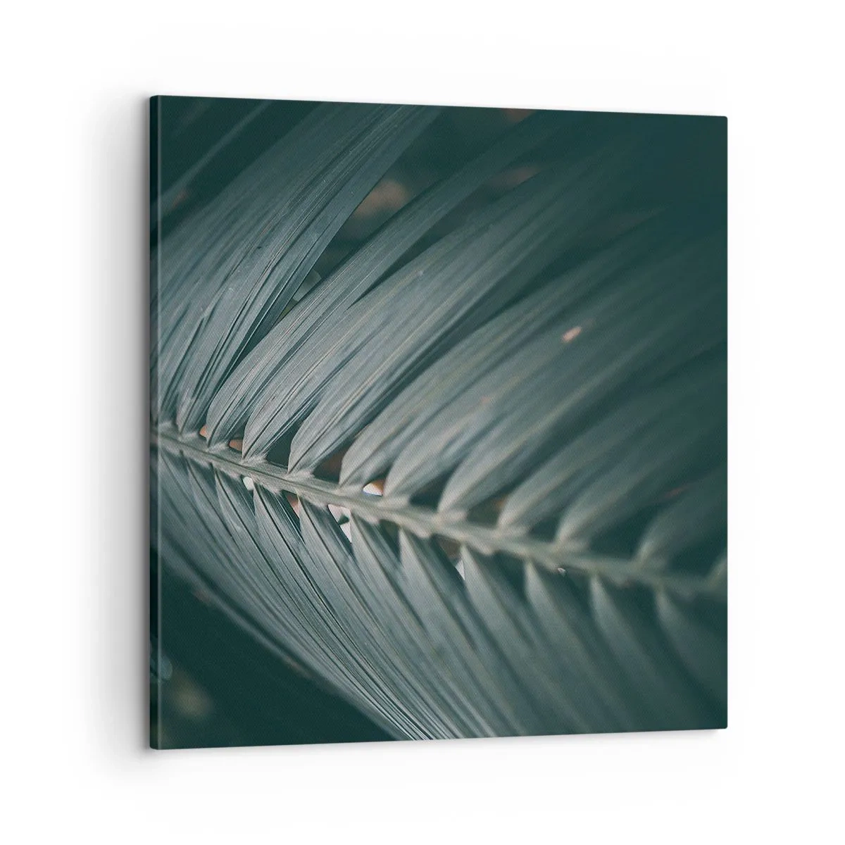 Impression sur toile - Image sur toile - Précision de la nature - 60x60 cm