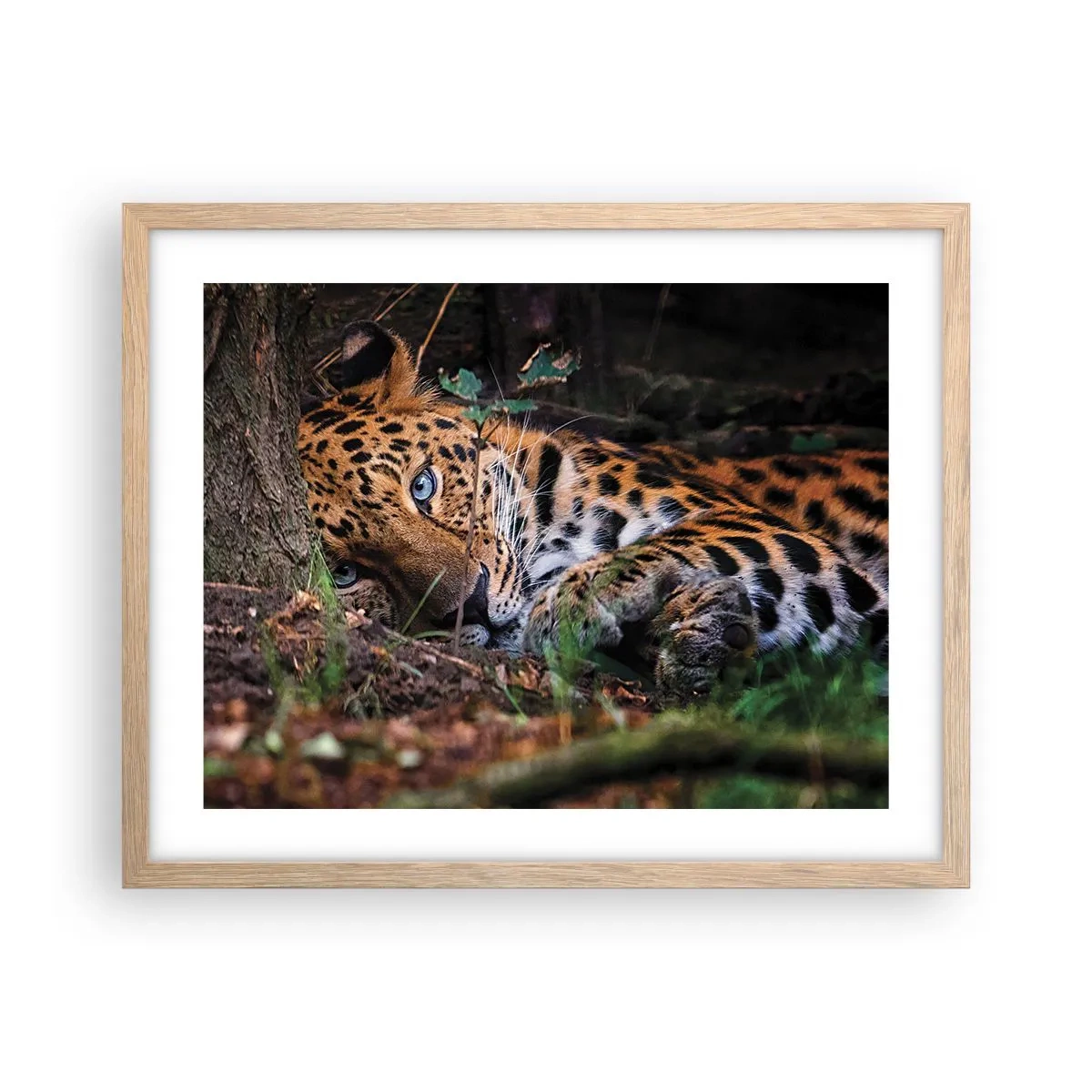 Affiche dans un chêne clair - Poster - Fais-moi confiance - 50x40 cm