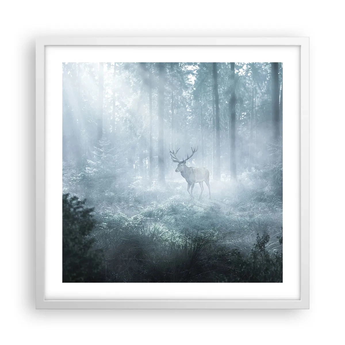 Affiche dans un cadre blanc - Poster - Visite matinale du domaine - 50x50 cm