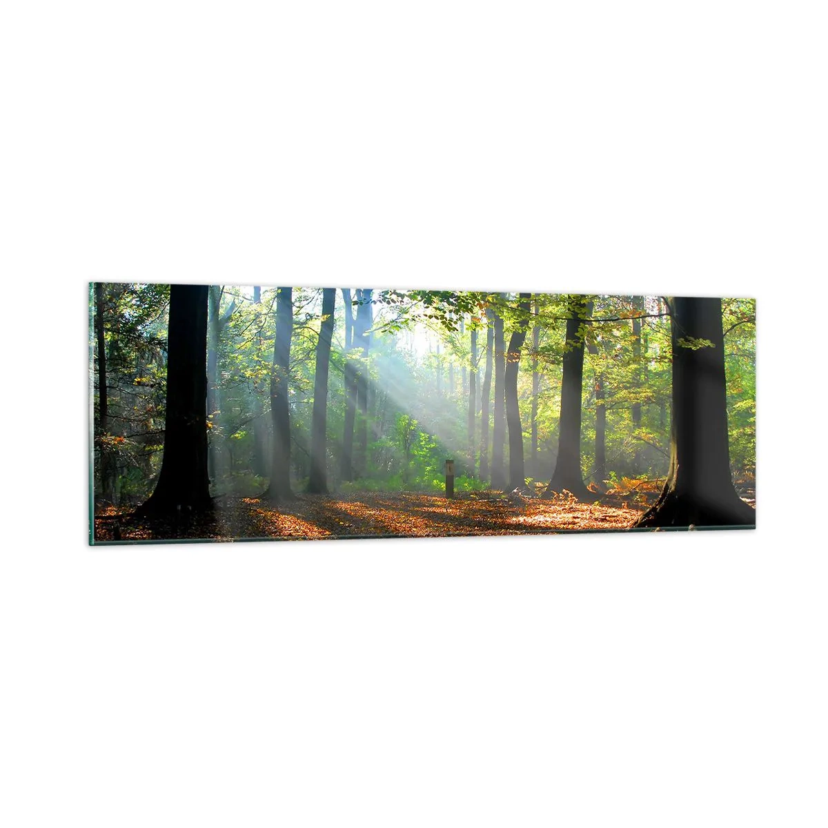 Impression sur verre - Image sur verre - Ombres et lumières - 90x30 cm