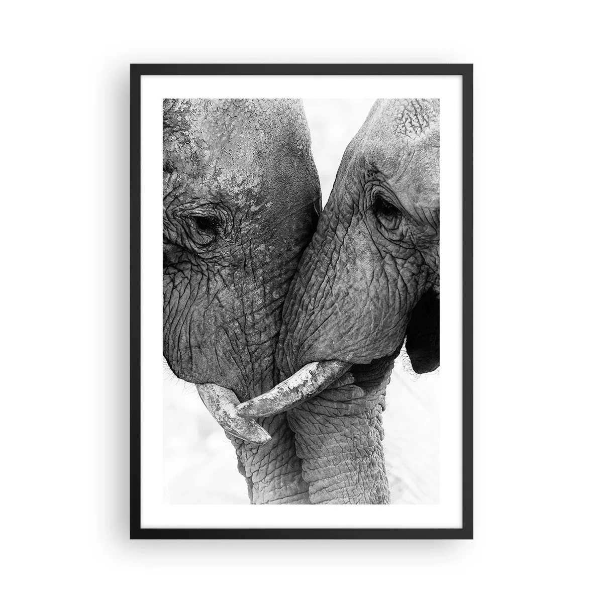 Affiche dans un cadre noir - Poster - Gros plan de deux éléphants en noir et blanc - 50x70cm - Confession sincère - Décoration murale moderne pour le salon et la chambre ARTTOR