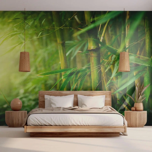 Papier Peint Autocollant Deluxe Sticker - Apprenez à connaître le vert lui-même - Usine, Bambou, Jungle - 350x256 cm