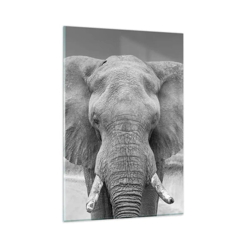 Impression sur verre - Image sur verre - Portrait d'un éléphant en noir et blanc - 80x120cm - Bienvenue dans mon monde - Décoration murale moderne pour le salon et la chambre ARTTOR