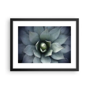 Affiche dans un cadre noir - Poster - Wabi et observe - 40x30 cm