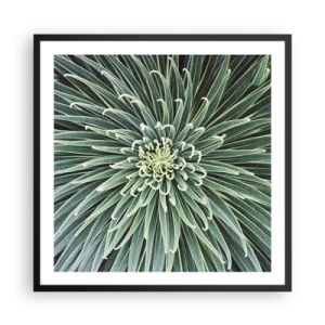 Affiche dans un cadre noir - Poster - Naissance d'une étoile - 60x60 cm