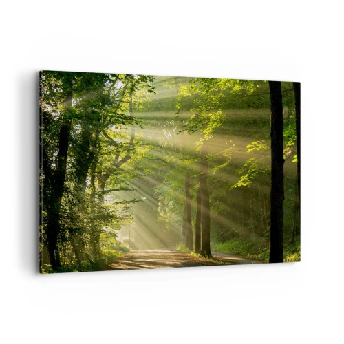 Impression sur toile - Image sur toile - Chemin forestier avec les rayons du soleil qui brillent à travers les arbres - 100x70cm - Moment de forêt - Décoration murale moderne pour le salon et la chambre ARTTOR