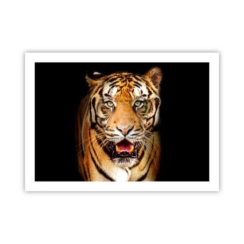 Affiche - Poster - Le coeur sauvageon - 70x50 cm
