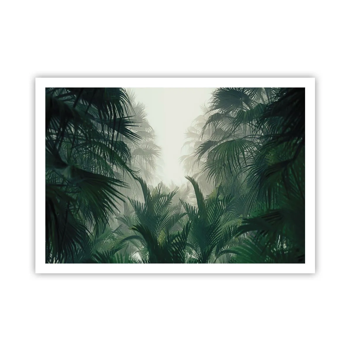 Affiche - Poster - Végétation tropicale dans un épais brouillard de forêt tropicale - 100x70cm - Secret tropical - Décoration murale moderne pour le salon et la chambre ARTTOR