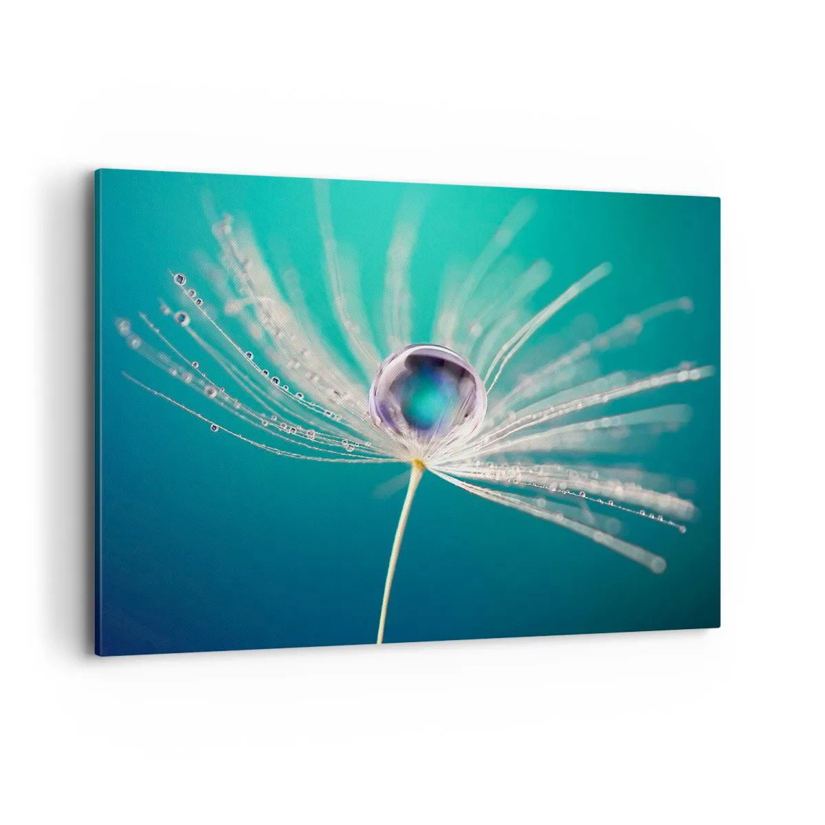 Impression sur toile - Image sur toile - Macro d'une goutte d'eau sur une délicate graine de pissenlit - 100x70cm - Moment mystique - Décoration murale moderne pour le salon et la chambre ARTTOR
