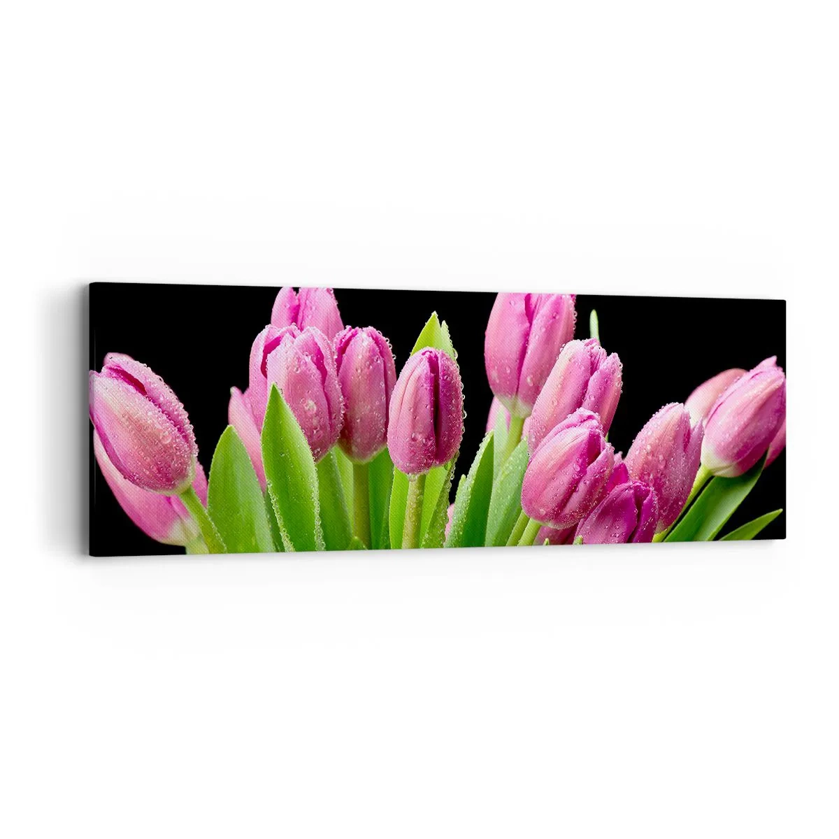 Impression sur toile - Image sur toile - Joie printanière des lilas - 90x30 cm
