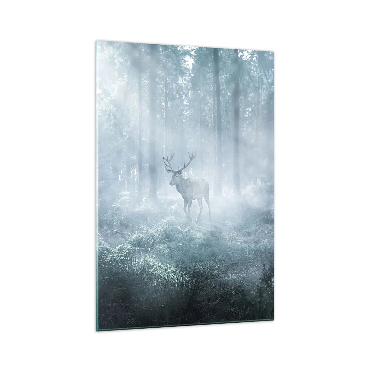 Impression sur verre - Image sur verre - Un cerf dans une forêt dense enveloppée de brume matinale - 70x100cm - Visite matinale du domaine - Décoration murale moderne pour le salon et la chambre ARTTOR