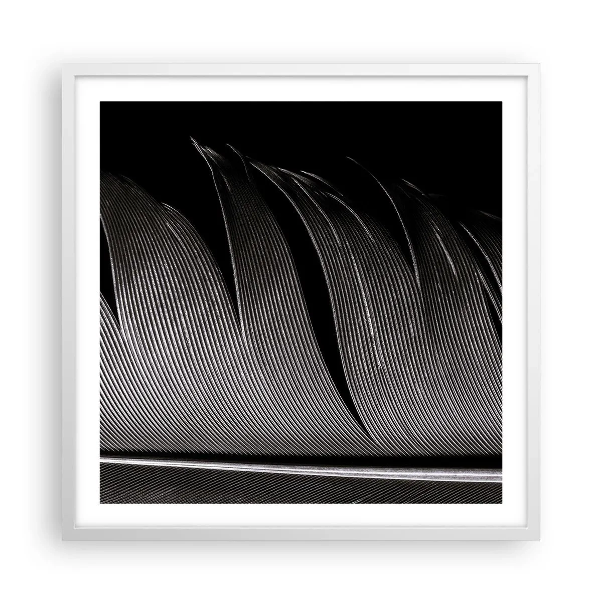 Affiche dans un cadre blanc - Poster - La plume – un design magnifique - 60x60 cm