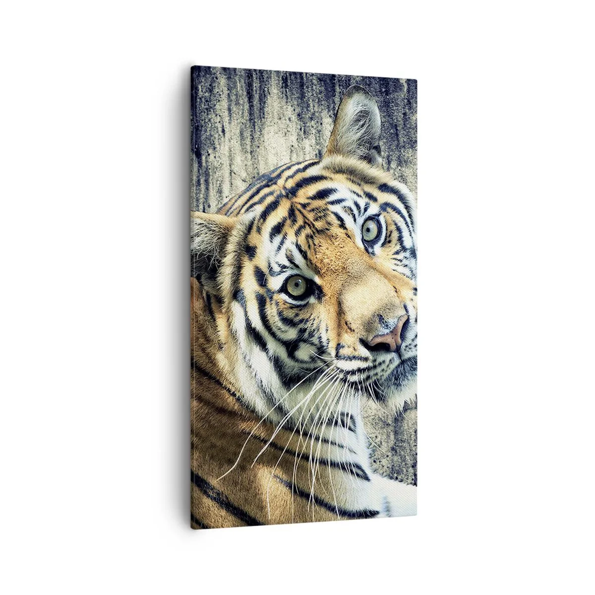 Impression sur toile - Image sur toile - Portrait dans les flots de lumière - 55x100 cm