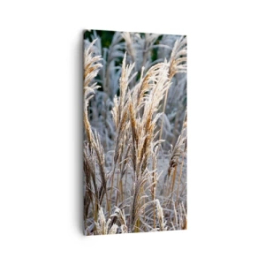 Impression sur toile - Image sur toile - Habillé de givre - 45x80 cm