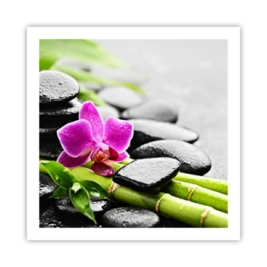 Affiche - Poster - Dans un équilibre de calme - 60x60 cm