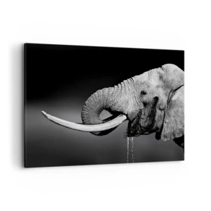 Impression sur toile - Image sur toile - Portrait noir et blanc d'un éléphant de profil - 100x70cm - Oui, c'est bon maintenant - Décoration murale moderne pour le salon et la chambre ARTTOR