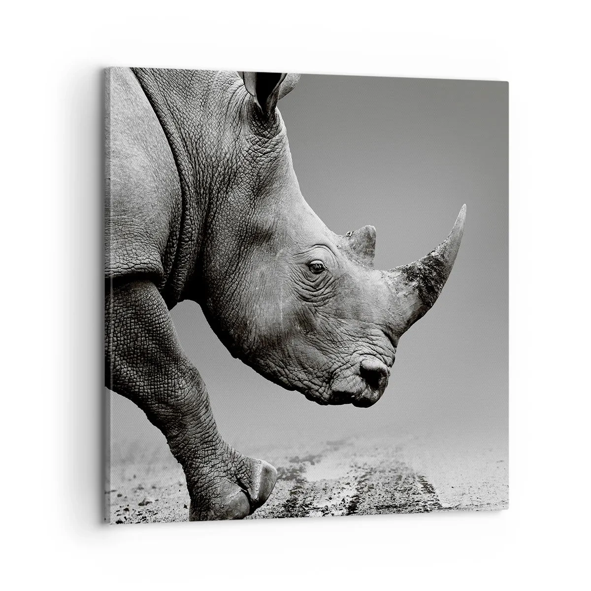 Impression sur toile - Image sur toile - Force inarrêtable - 60x60 cm