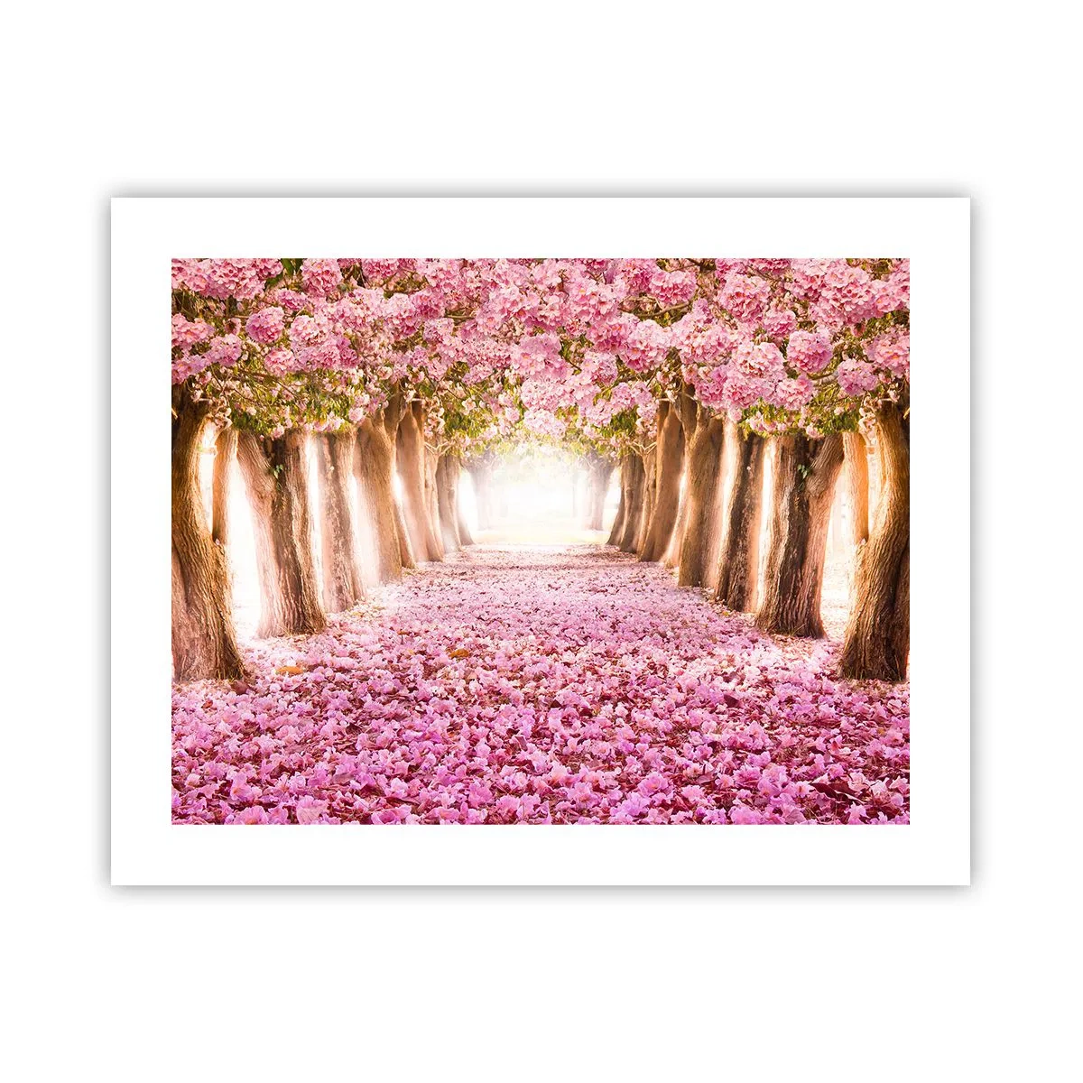 Affiche - Poster - La route du paradis - 50x40 cm