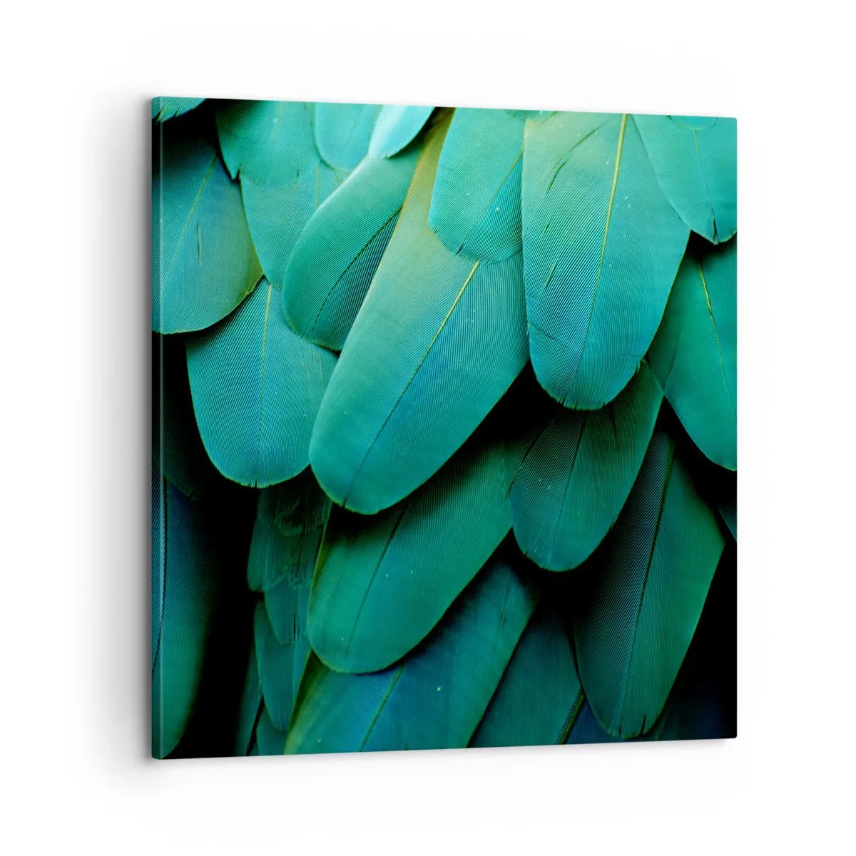 Impression sur toile - Image sur toile - Perfection de la nature du perroquet - 60x60 cm