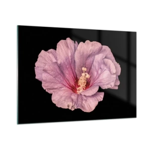 Impression sur verre - Image sur verre - Gros plan d'une fleur d'hibiscus rose sur fond noir - 100x70cm - Directement au coeur - Décoration murale moderne pour le salon et la chambre ARTTOR