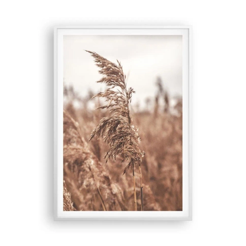 Affiche dans un cadre blanc - Poster - C'est déjà l'automne dans les champs - 70x100 cm