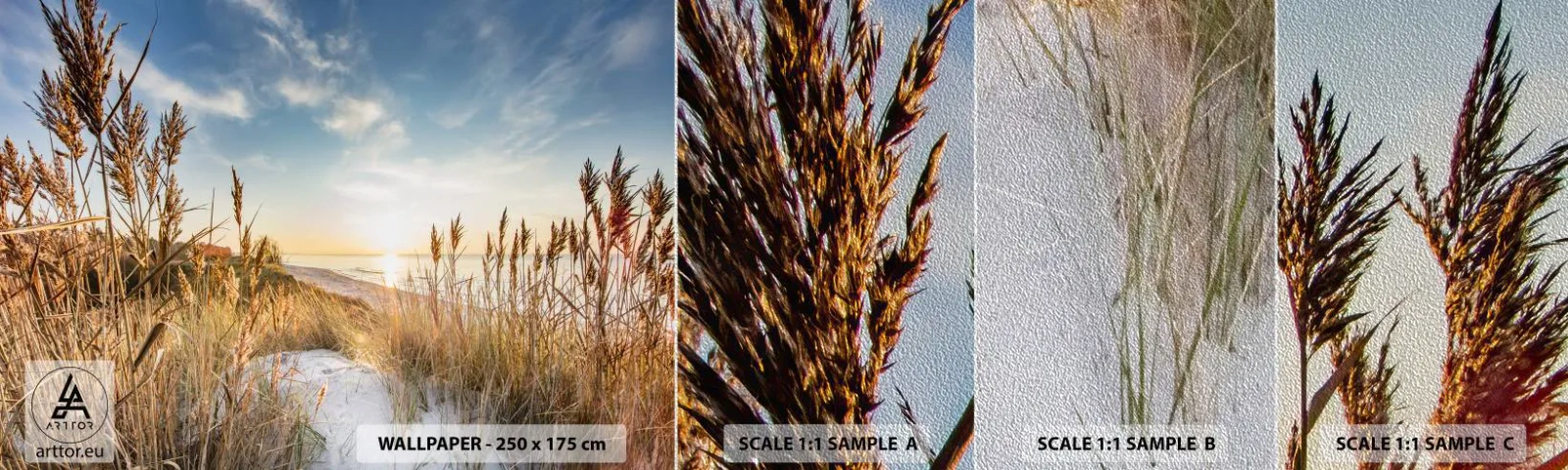Échantillon de Papier Peint Premium Sand - Plage du nord - Paysage, Mer, Plage - 100x30 cm