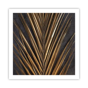 Affiche - Poster - L'or des tropiques - 60x60 cm