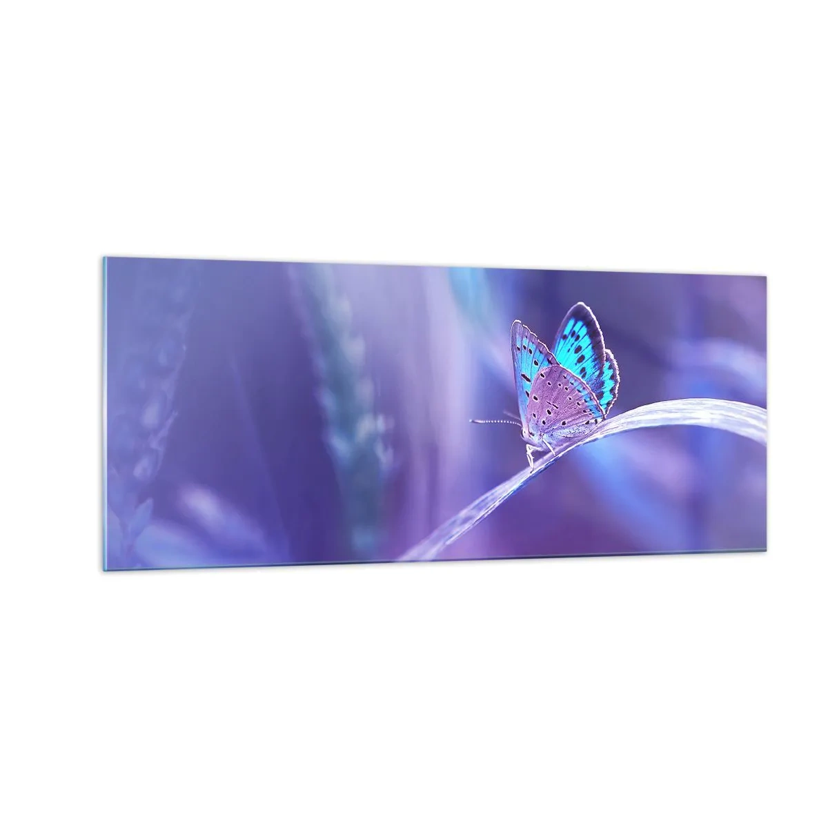 Impression sur verre - Image sur verre - Un joyau de la nature - 100x40 cm