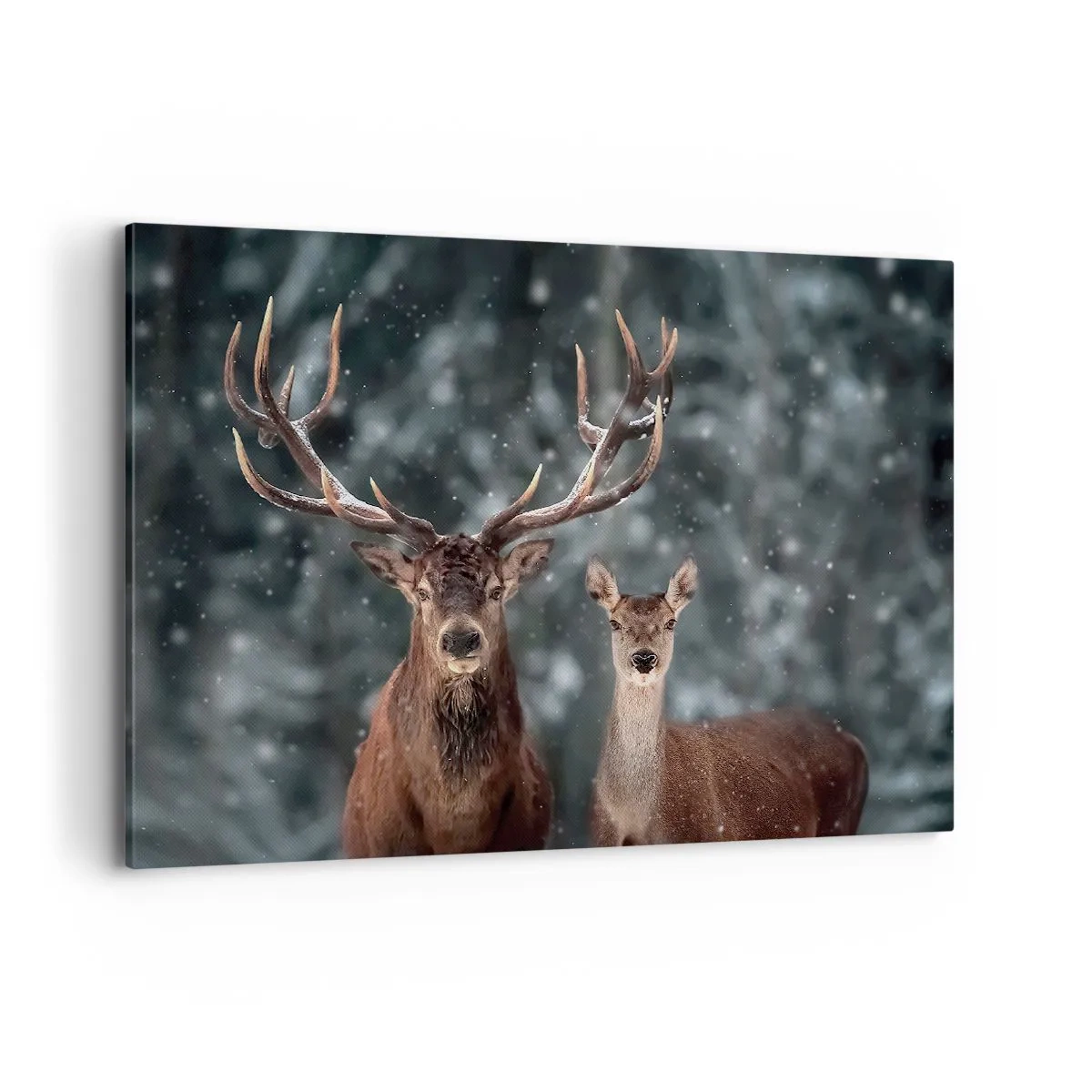 Impression sur toile - Image sur toile - Cerf dans une forêt d'hiver enneigée - 100x70cm - Le roi de la forêt avec sa femme - Décoration murale moderne pour le salon et la chambre ARTTOR