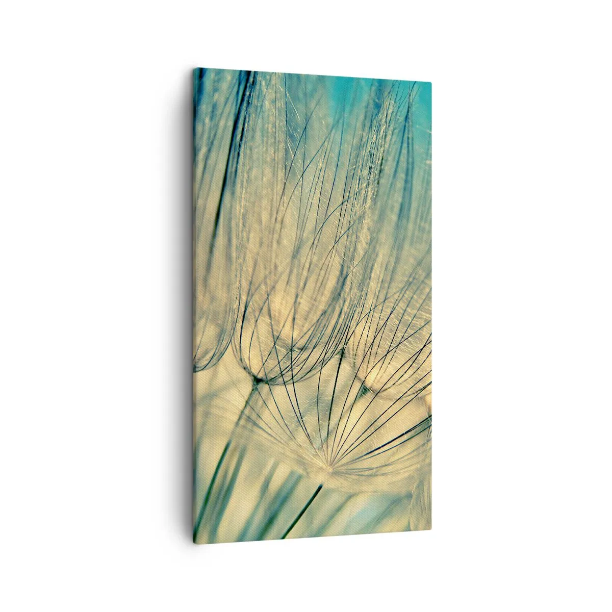 Impression sur toile - Image sur toile - En attente du vent - 45x80 cm