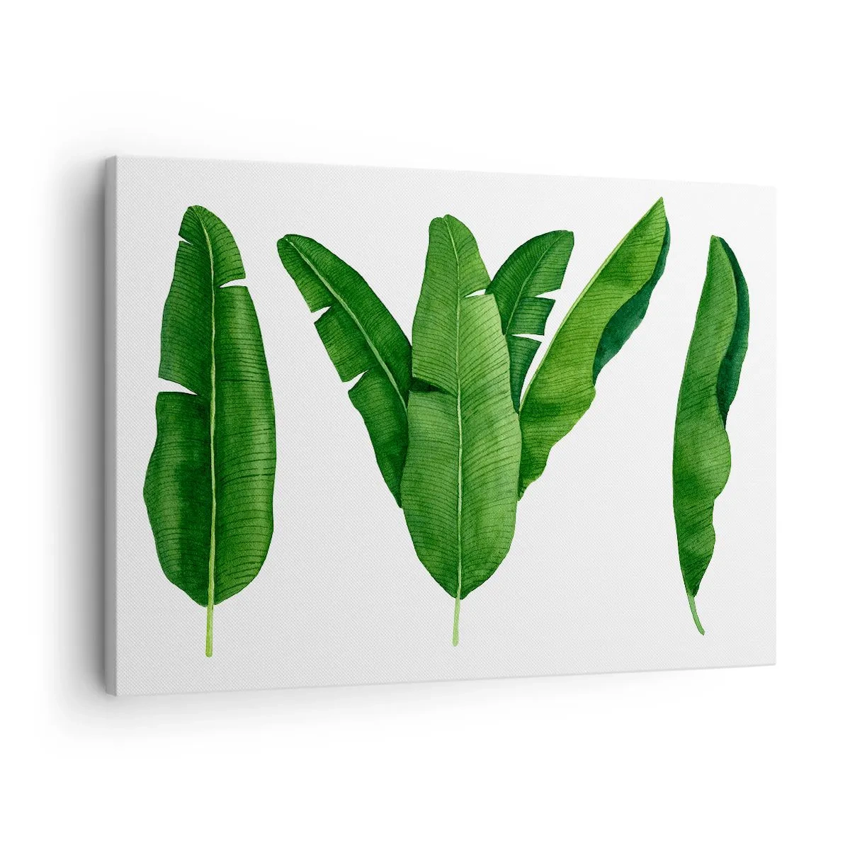 Impression sur toile - Image sur toile - Trois feuilles de bananier dans une approche artistique - 70x50cm - Symétrie verte - Décoration murale moderne pour le salon et la chambre ARTTOR