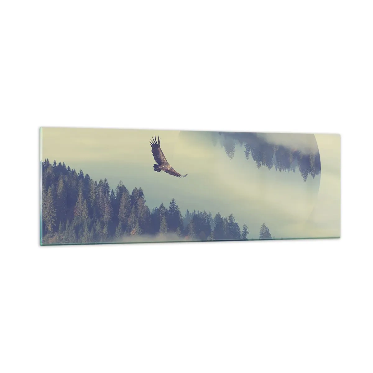 Impression sur verre - Image sur verre - J'ai vu l'ombre d'un aigle - 90x30 cm