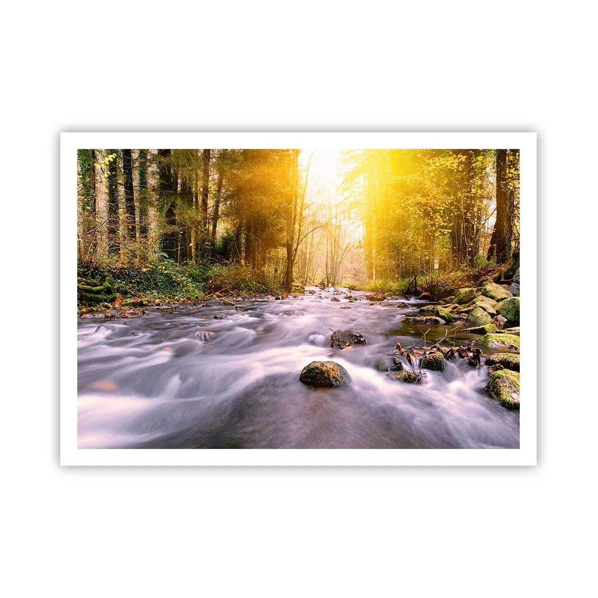 Affiche - Poster - Un ruisseau forestier illuminé par les rayons du soleil - 100x70cm - Malachite dans un cadre argent et or - Décoration murale moderne pour le salon et la chambre ARTTOR