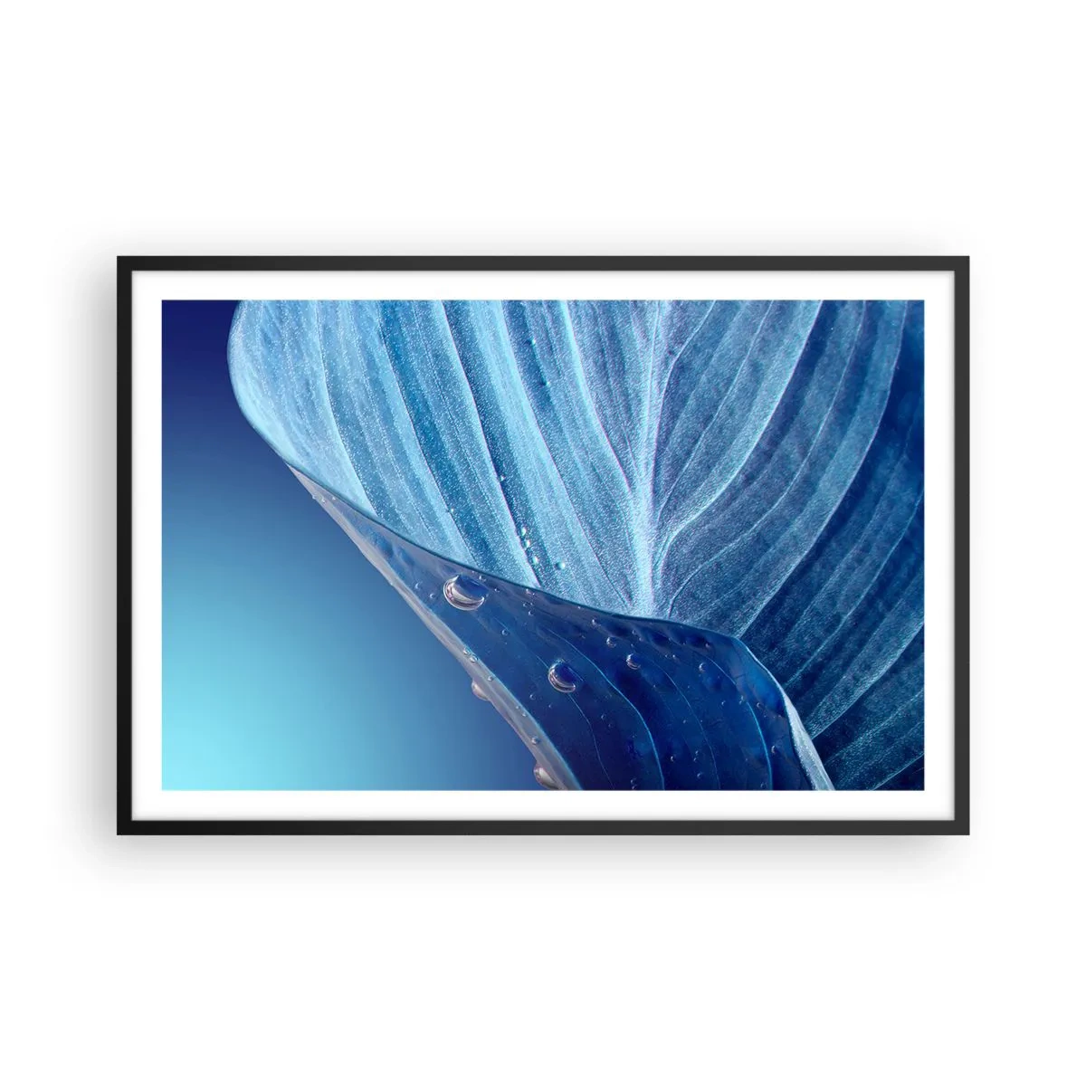 Affiche dans un cadre noir - Poster - Gouttes cachées du bleu - 91x61 cm