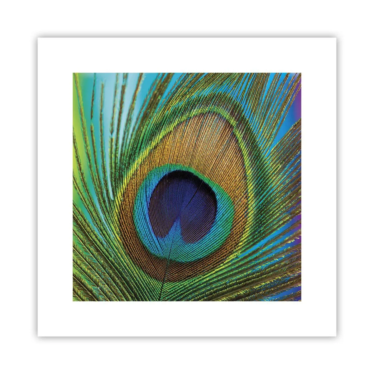Affiche - Poster - Les yeux dans les yeux - 30x30 cm