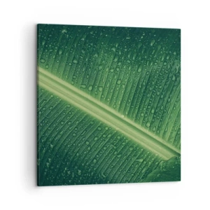 Impression sur toile - Image sur toile - Structure de vert - 50x50 cm