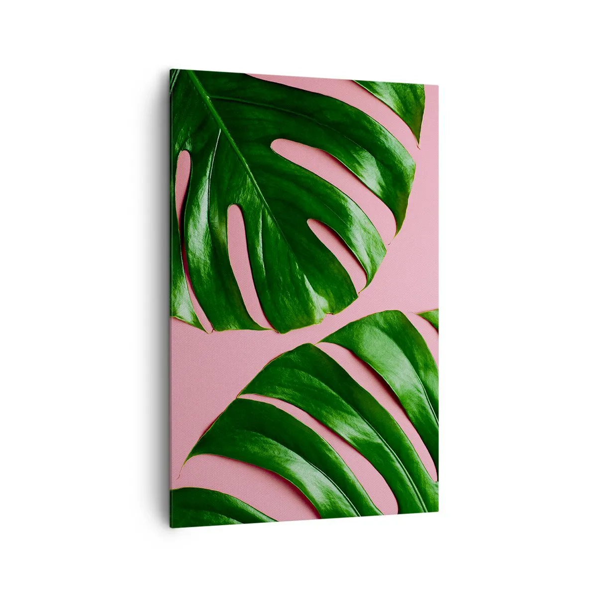 Impression sur toile - Image sur toile - Feuilles de monstera vertes sur fond rose - 80x120cm - Rendez-vous vert - Décoration murale moderne pour le salon et la chambre ARTTOR