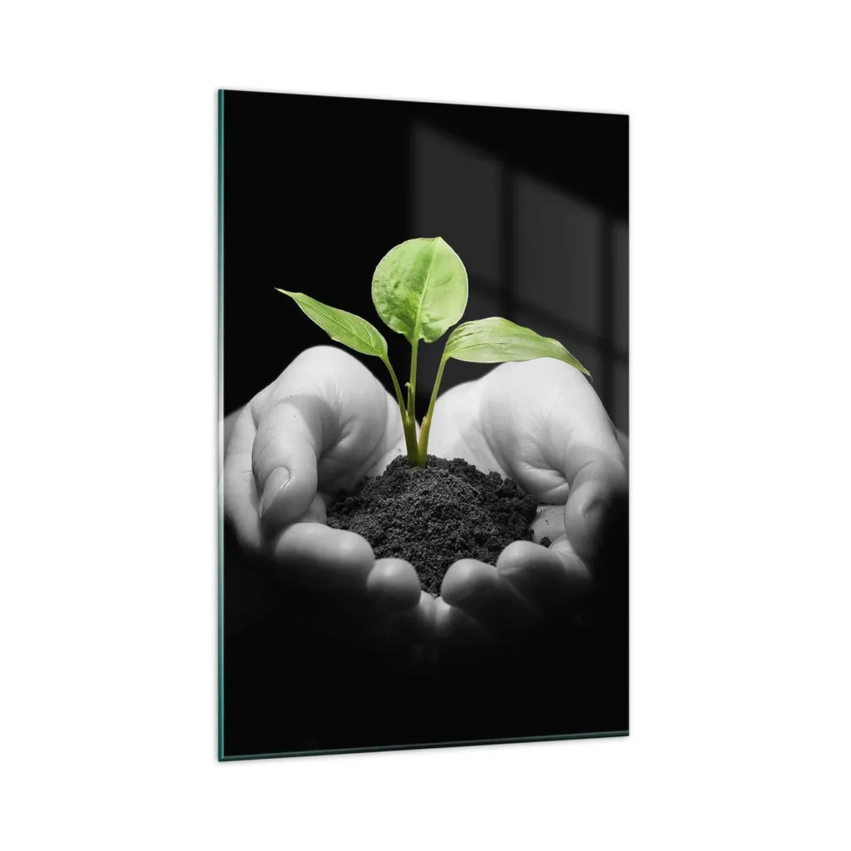 Impression sur verre - Image sur verre - Mains tenant une plante verte sur fond noir - 80x120cm - J'aime la nature, je la protège - Décoration murale moderne pour le salon et la chambre ARTTOR