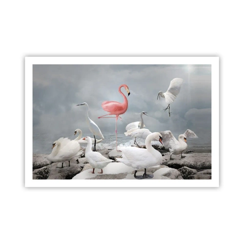 Affiche - Poster - Comment suis-je arrivé là? - 91x61 cm