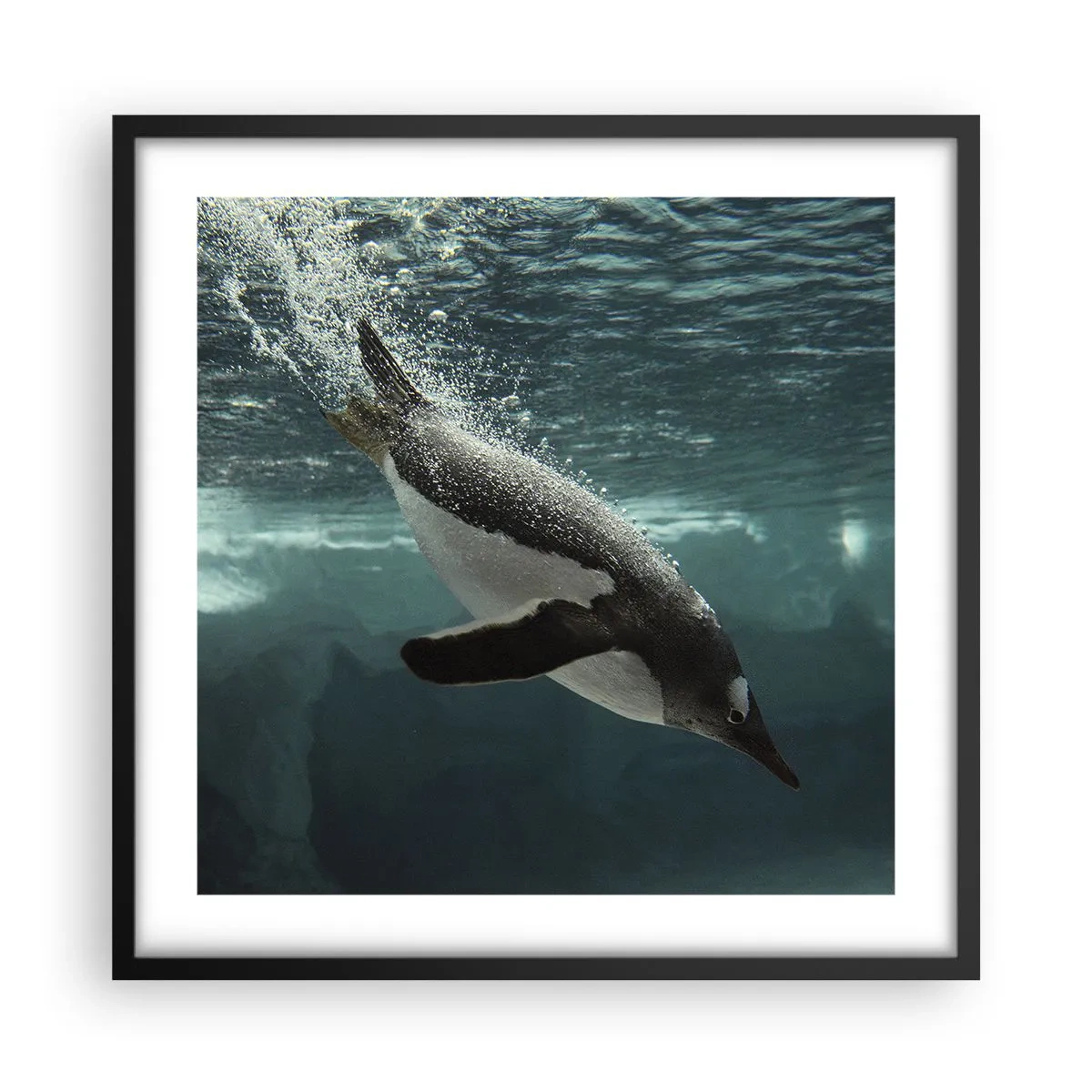 Affiche dans un cadre noir - Poster - Bienvenue dans mon monde - 50x50 cm