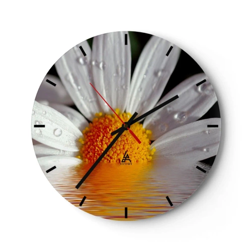 Horloge murale - Pendule murale - Macro d'une marguerite avec des gouttes d'eau sur ses pétales - 30x30cm - Le soleil levant des marguerites - Décoration murale moderne pour le salon, la cuisine et la chambre ARTTOR