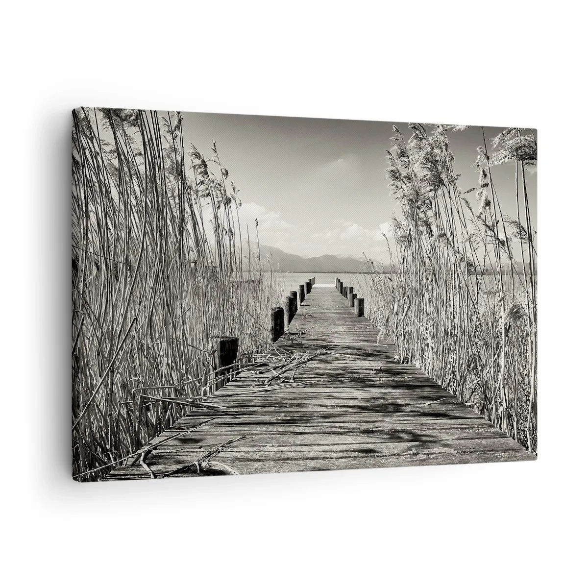 Impression sur toile - Image sur toile - Une jetée en bois parmi les hautes herbes au-dessus d'un lac aux tons sépia - 70x50cm - Dans le calme de l'herbe - Décoration murale moderne pour le salon et la chambre ARTTOR
