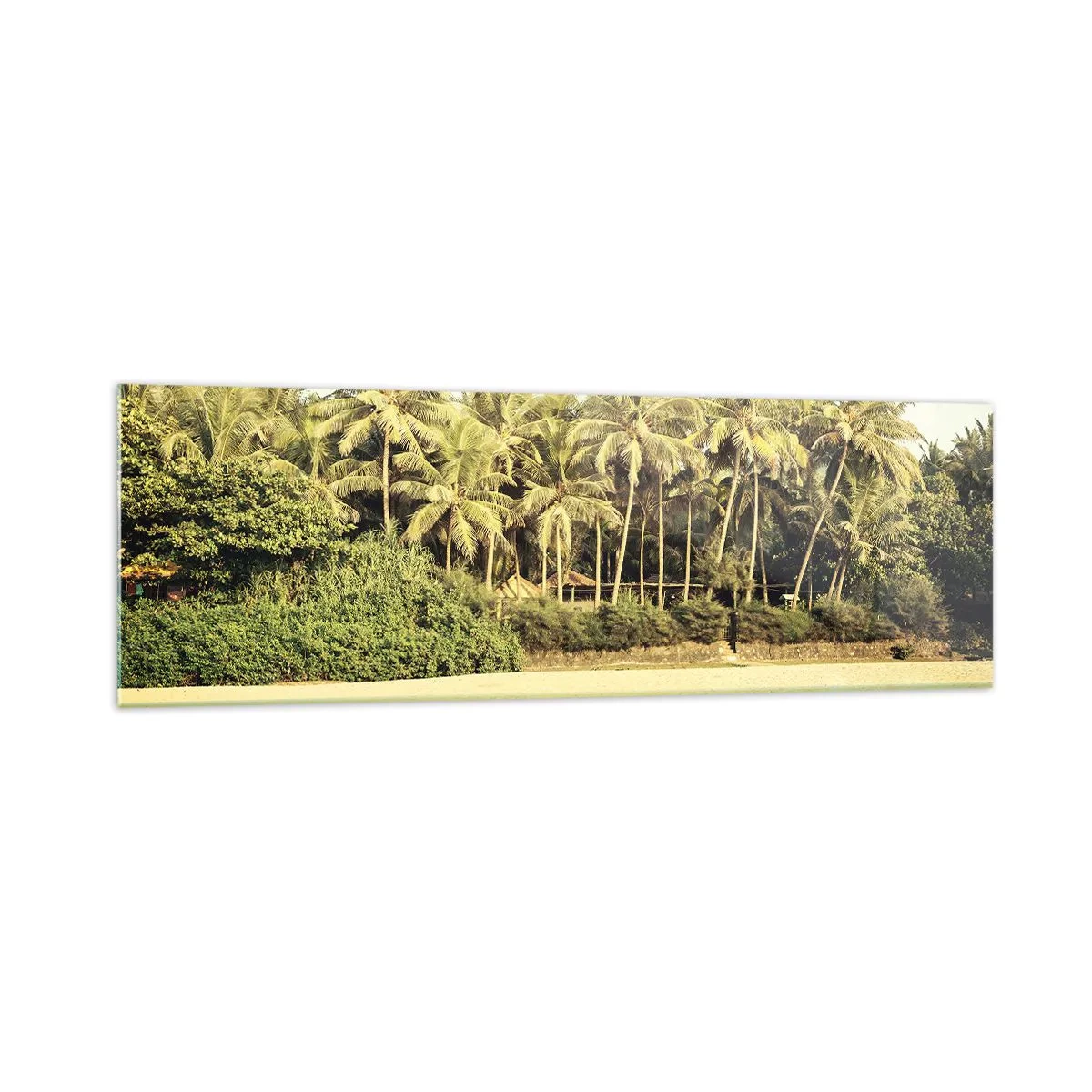 Impression sur verre - Image sur verre - Plage tropicale avec palmiers et mer turquoise - 160x50cm - Peut-être ici? - Décoration murale moderne pour le salon et la chambre ARTTOR